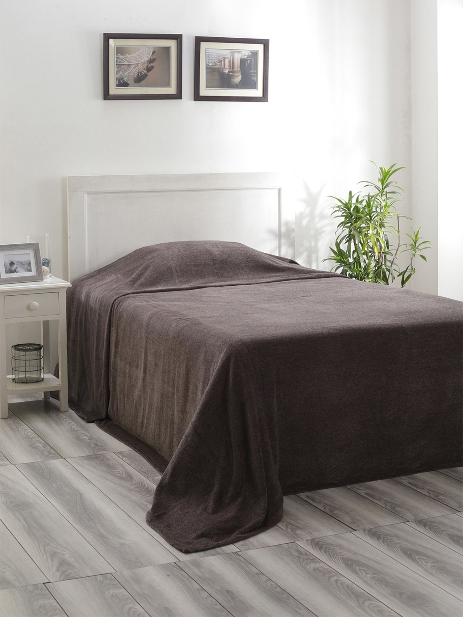 Maspar Colorart Charlotte Solid Grey 110 TC Cotton Blend Single Bed Cover