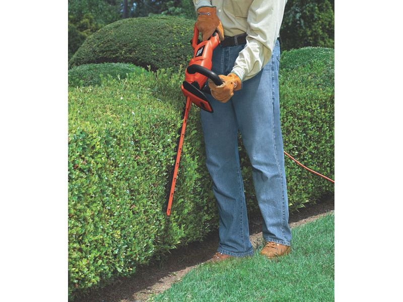 Black & Decker HH2450R 24 in. HedgeHog Hedge Trimmer
