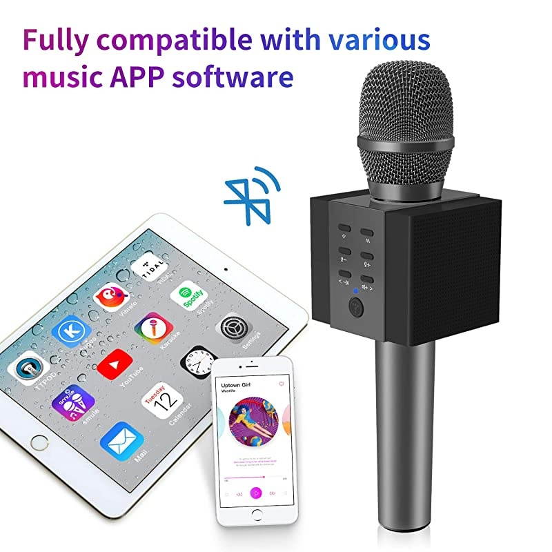 008 Wireless Bluetooth Karaoke Microphone,Louder Volume 10W Power, More Bass, 3-in-1 Portable Handheld Double Speaker Mic Machine for iPhone/Android/iPad/PC (Black)