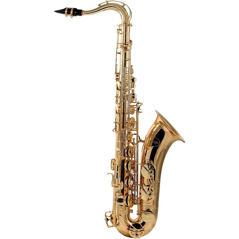 Allora ATS-250 Student Series Tenor Saxophone Lacquer