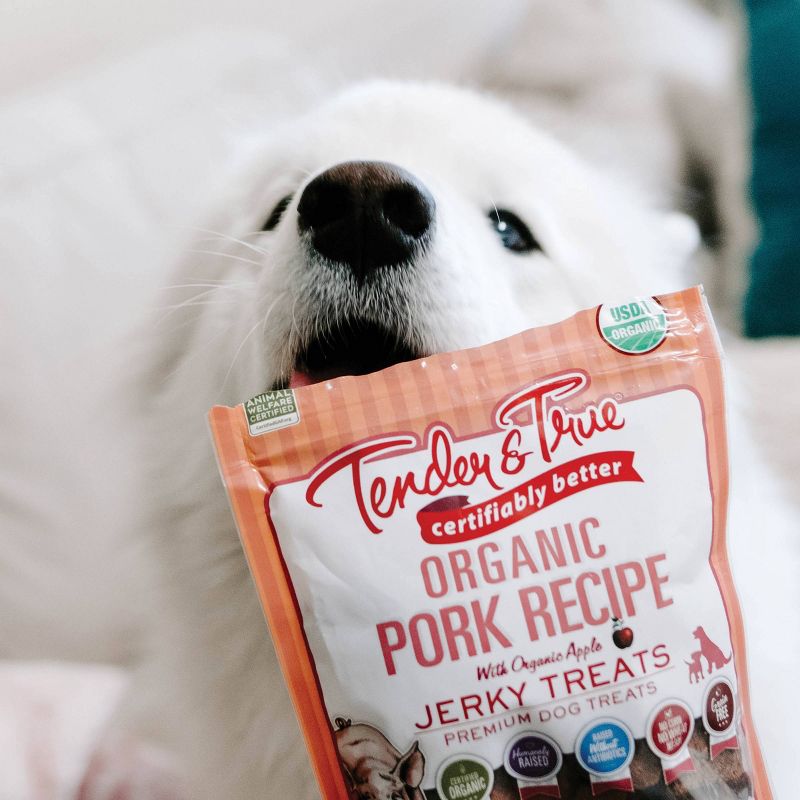 Tender & True Organic Pork Recipe Jerky Dog Treats - 4oz