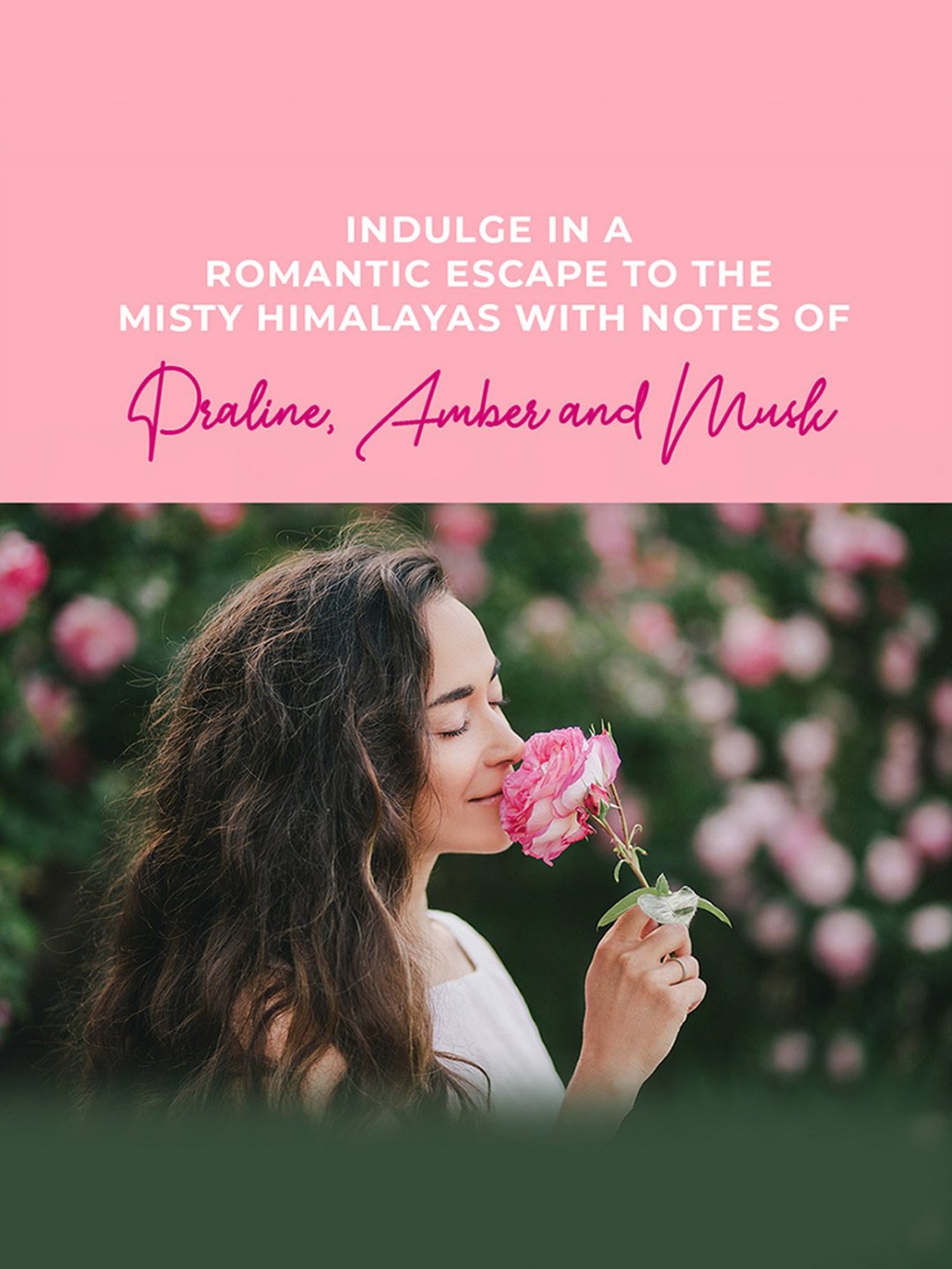 LUX Rose & Aloe Vera Gel Body Scrub - 300 gm