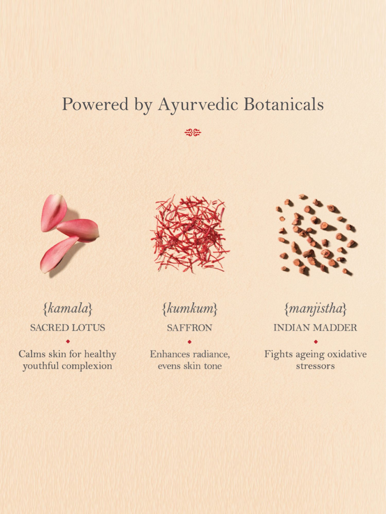 Deconstruct Brightening Serum with 10% Niacinamide & 0.3% Alpha Arbutin - 30 ml