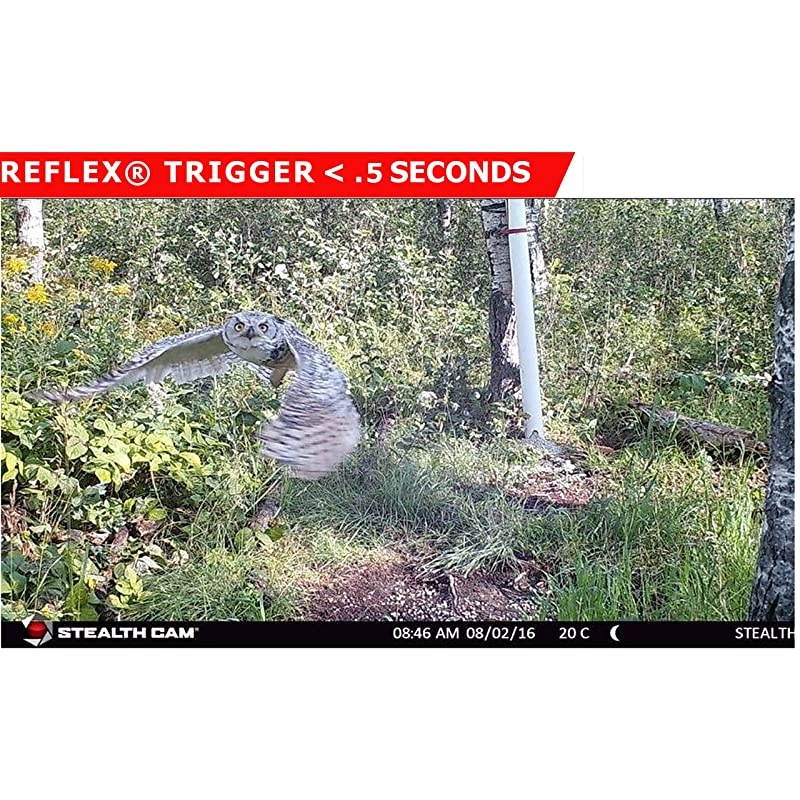 Security Camera WiFi IP Home CameraR2C 1080P HD Baby Monitor Wireless Pet Camera with AI Human Sound Detection Free Cloud Included 2Way AudioWorks with Alexa PanTilt Night Vision