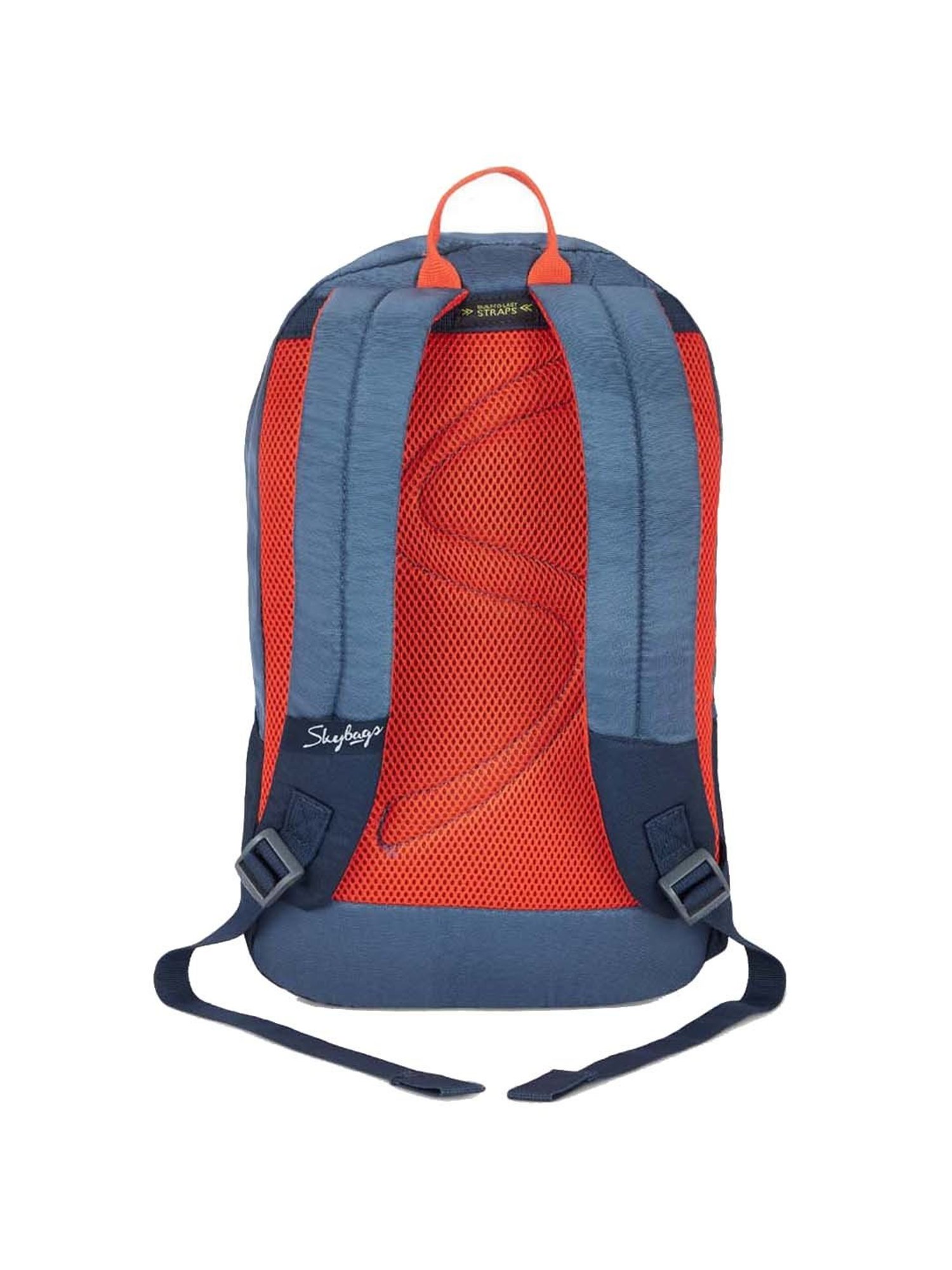Skybags 17 Ltrs Blue Medium Backpack