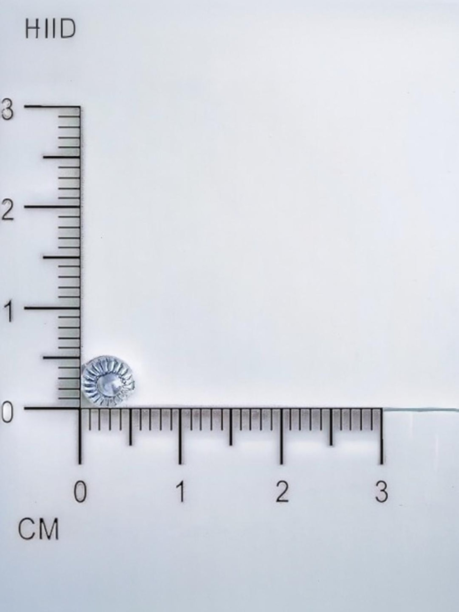 Rihi by P.C. Chandra Jewellers 92.5 Sterling Silver Small Stud Earrings for Women & Girls