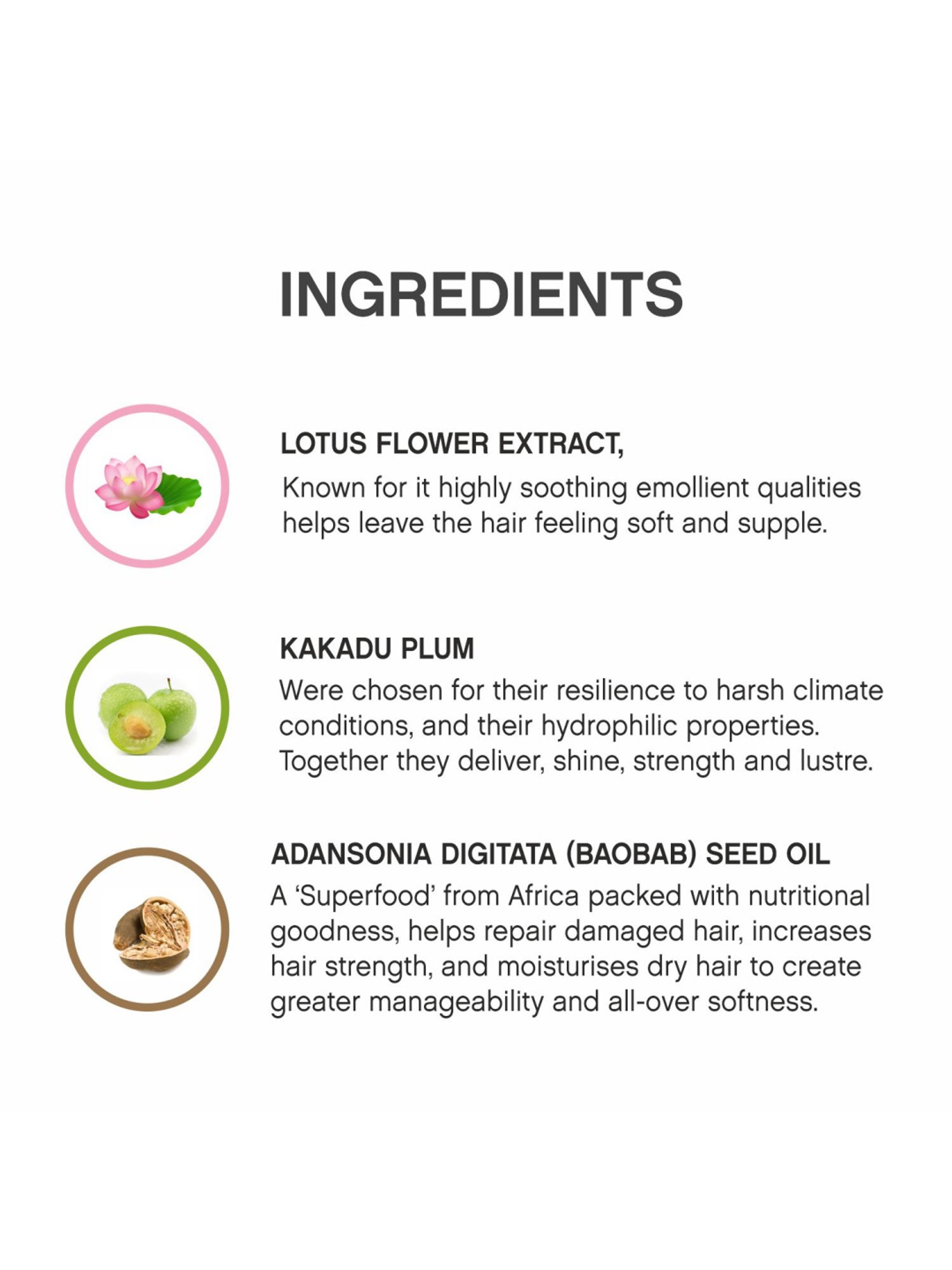 KEVIN MURPHY YOUNG.AGAIN.WASH 40 ML