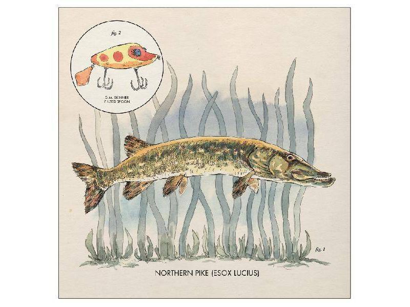 Nick Lowe - Lay It On Me (Vinyl)