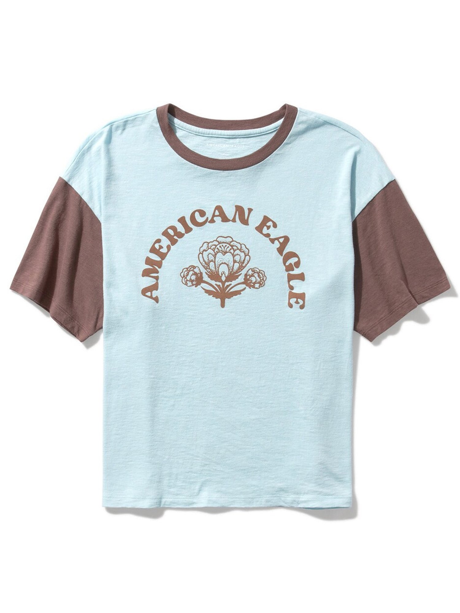 American Eagle Outfitters Blue & Brown Cotton Printed T-Shirt