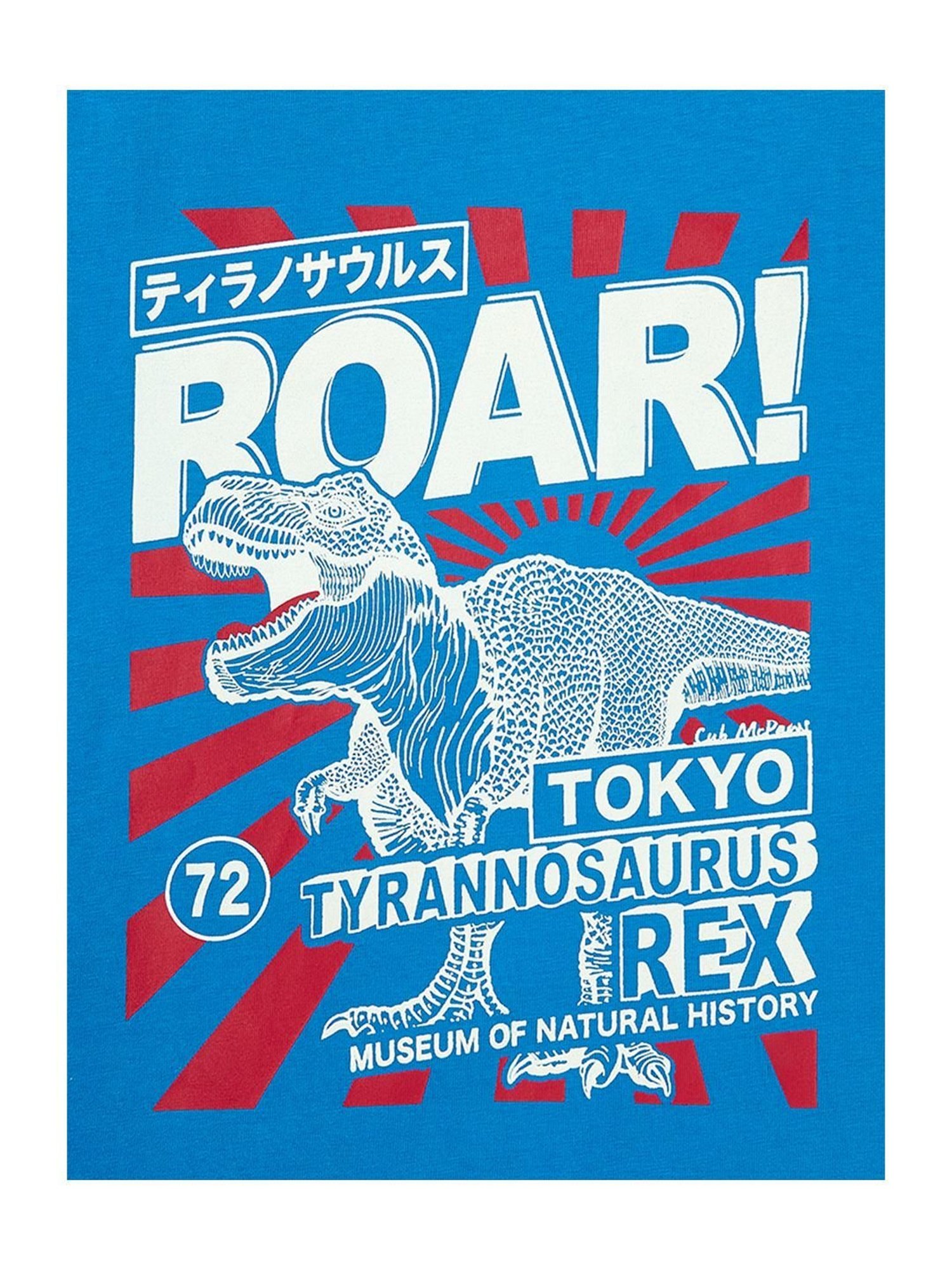 Cub McPaws Boys Multicolor Cotton Printed Full Sleeves T-Shirt (Pack of 3)