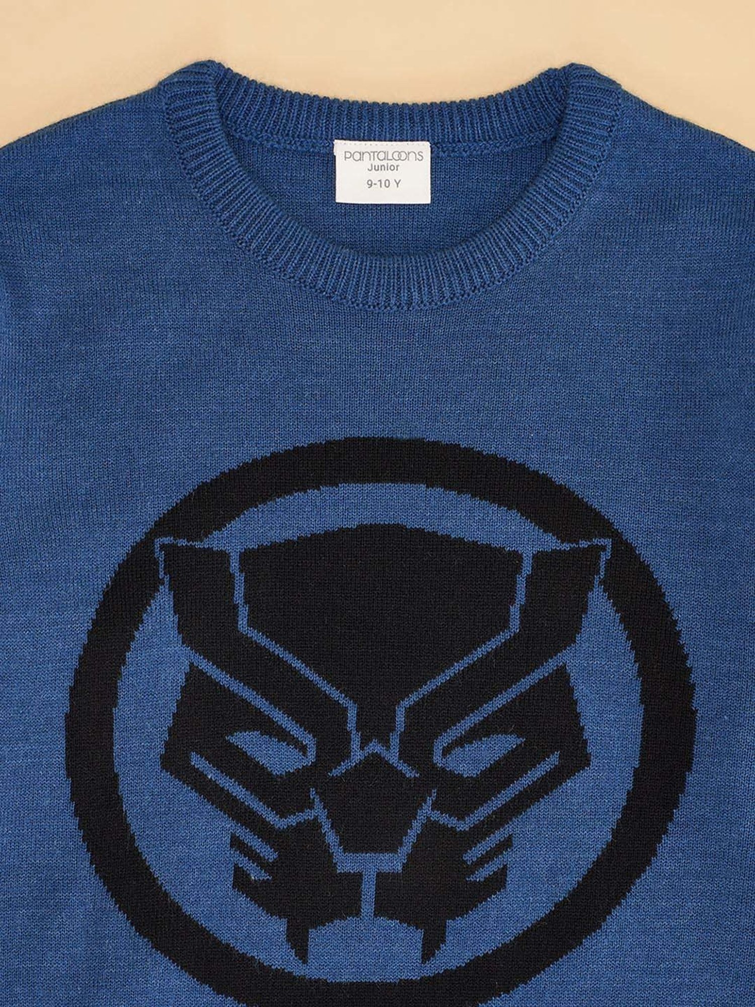 Pantaloons Junior Blue Cotton Printed Full Sleeves Sweater