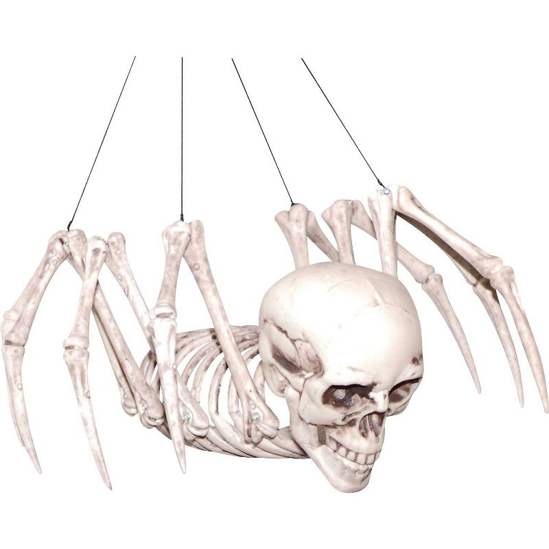 Halloween Spider Skeleton Decor