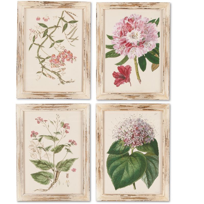 Lone Elm Studios Assorted Botanitcal Series Pink Flower Wall Art on Wooden Frame (Set of 4)