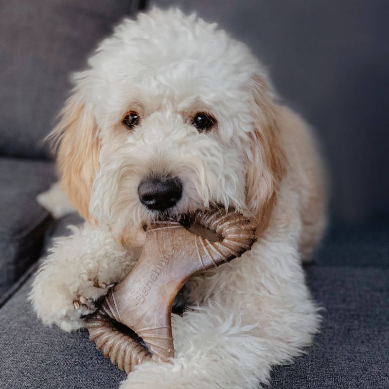 Benebone Dental Chew Bacon Dog Toy - Brown - M