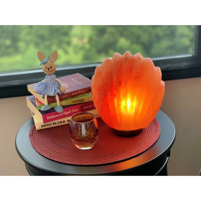 Sea Shell Salt Lamp Pink - Q&A Himalayan Salt