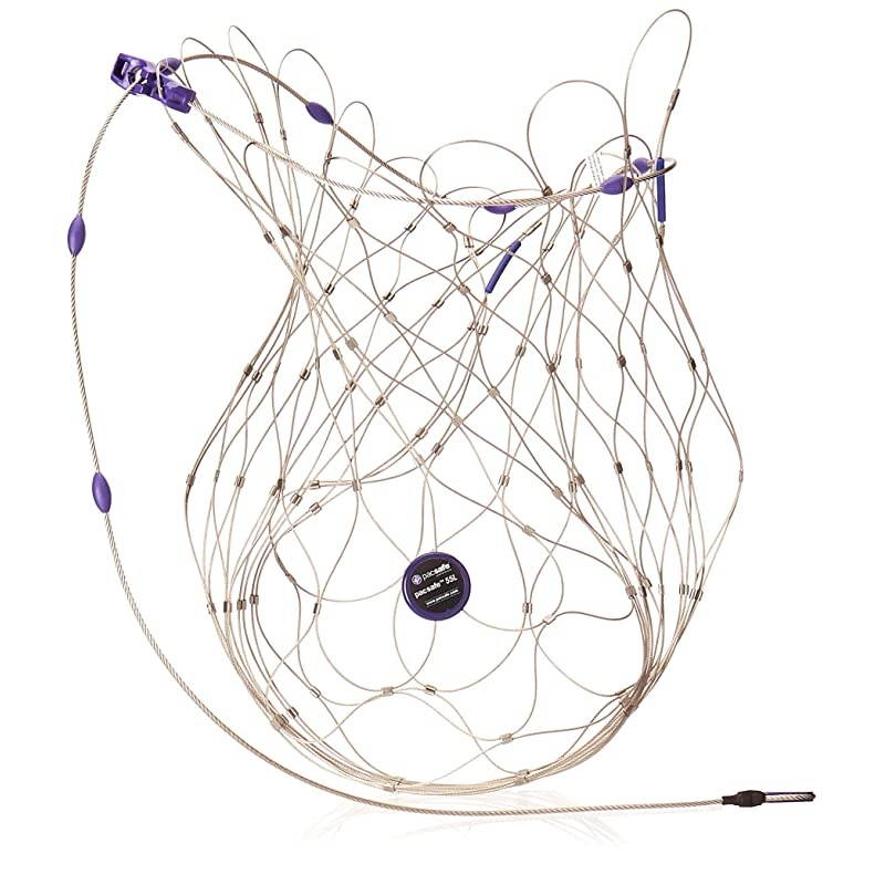 55L Backpack and Bag Protector Silver One Size