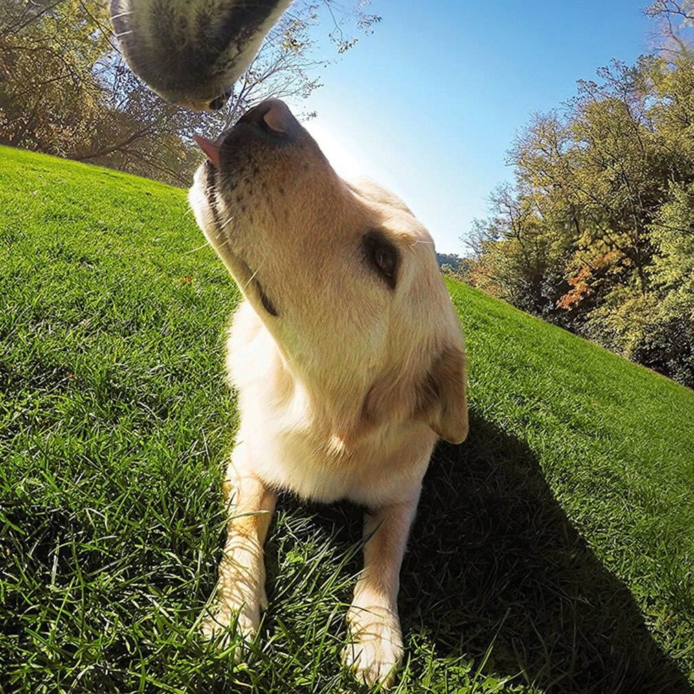 Camera Accessories Dog Harness Mount Chest Strap Mount Camera Hero Dog Chest Band Suitable for Hunting Use Gopro Bag ACEHE