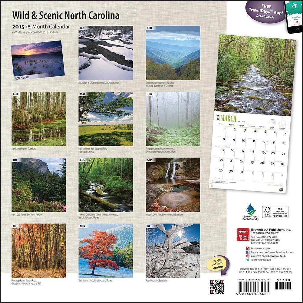 All You Need is Yorkshire Terrier Box Sign by Primitives by Kathy