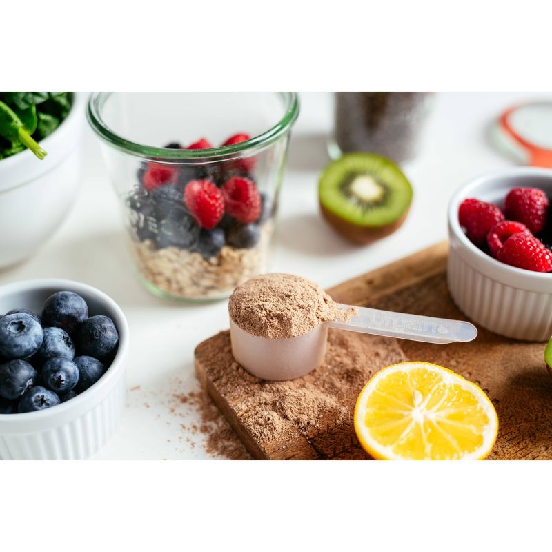 Orgain Organic Vegan Plant Based Protein Powder - Creamy Chocolate Fudge - 16.32oz