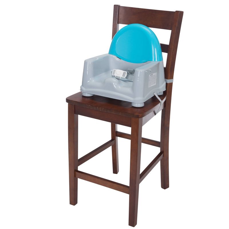 Safety 1st Clean Care Booster Seat