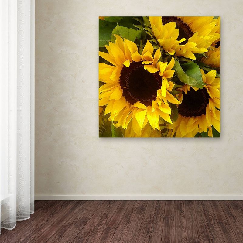 24" x 24" Sunflowers by Amy Vangsgard - Trademark Fine Art
