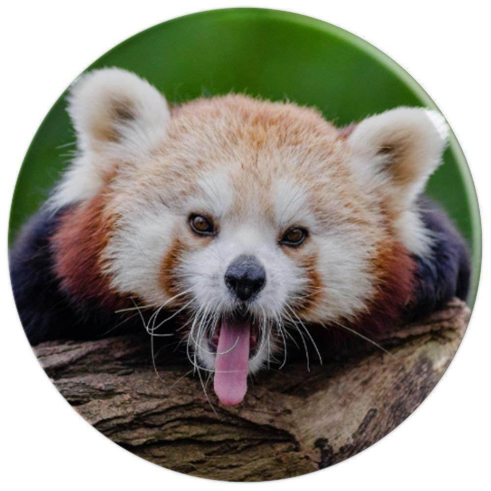 Red Panda Cute Yawning Face with Tongue Out - PopSockets Grip and Stand for Phones and Tablets