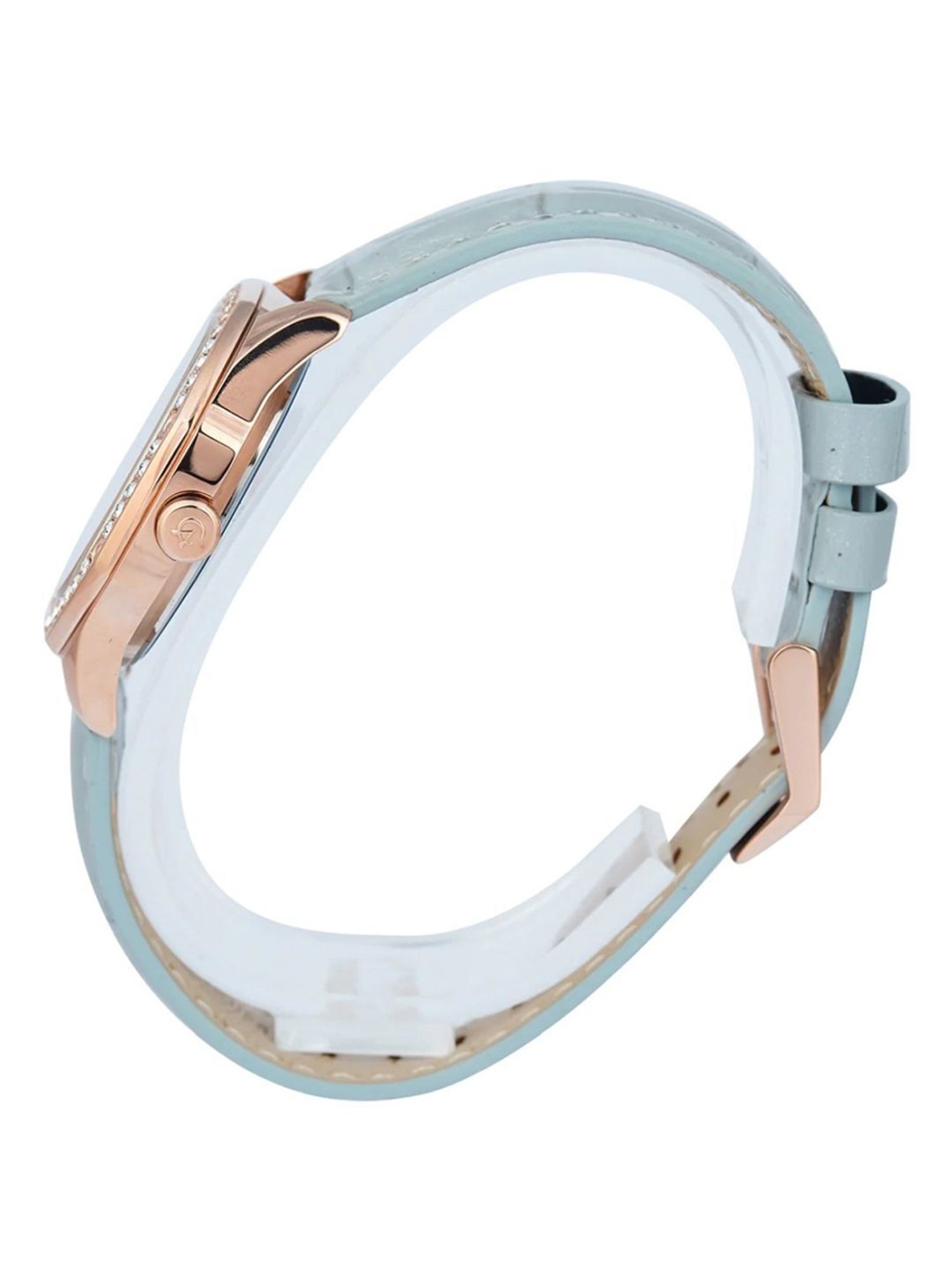 ALEXANDRE CHRISTIE 2B17BFLRGLB Passion Analog watch for Women