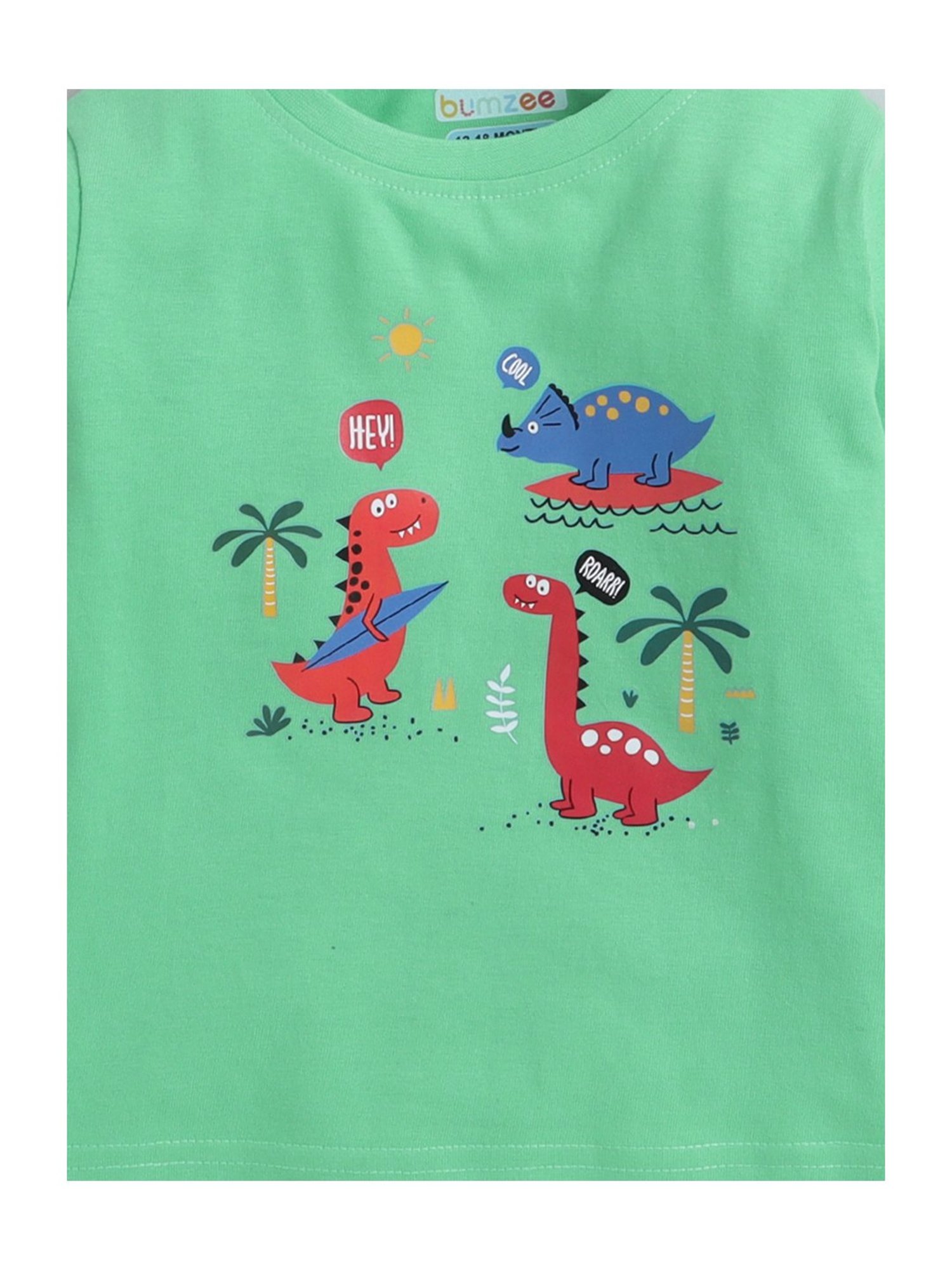 Bumzee Kids Navy & Green Printed Full Sleeves T-Shirt (Pack Of 2)
