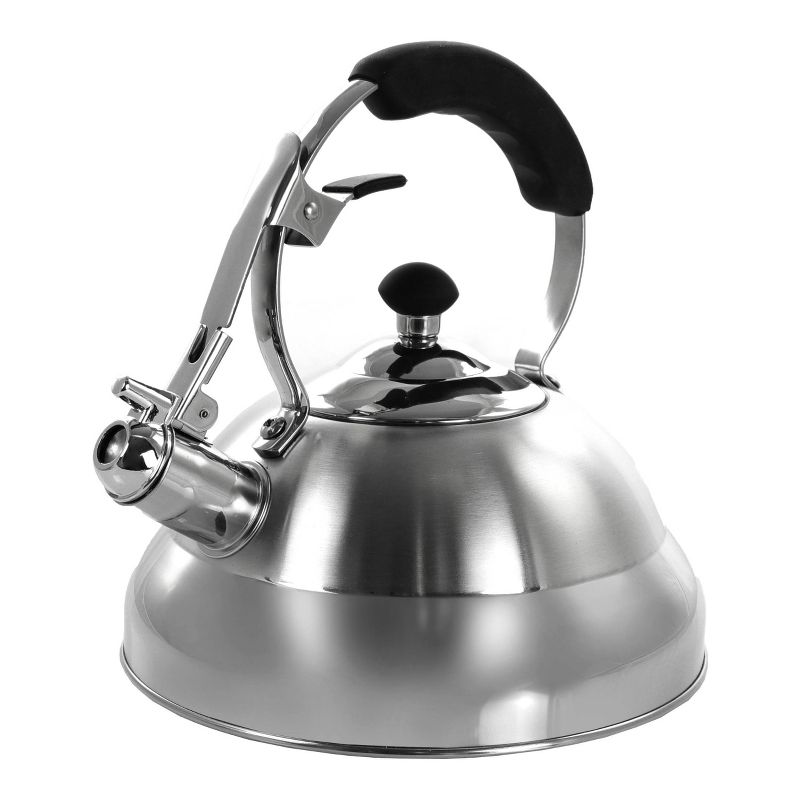 Mr. Coffee 2 Quart Stainless Steel Whistling Tea Kettle with Nylon Handle