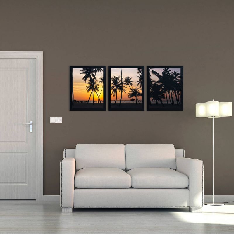 3pc Palm Dream by David Evans - Trademark Fine Art