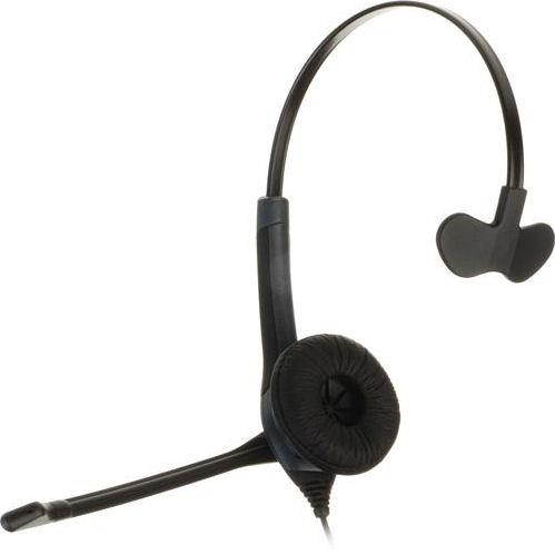 NUANCE Dragon 13.0 - Headset