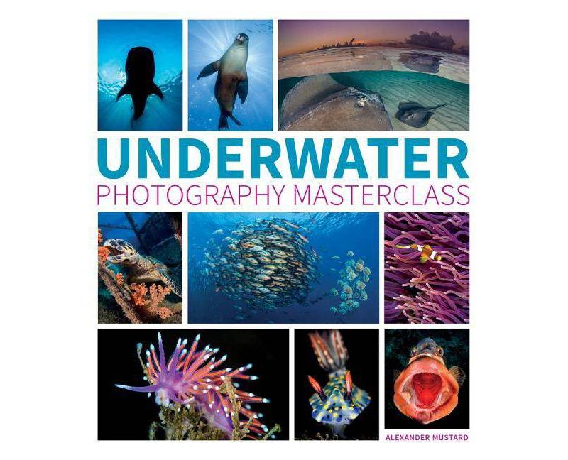 Underwater Photography Masterclass - by  Alex Mustard (Paperback)