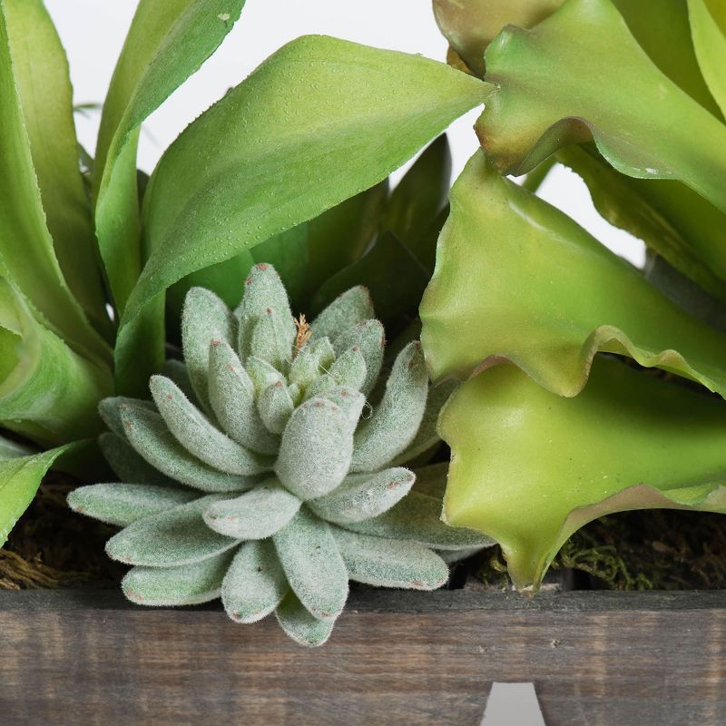 Vickerman 8.5" Artificial Succulent Assortment.