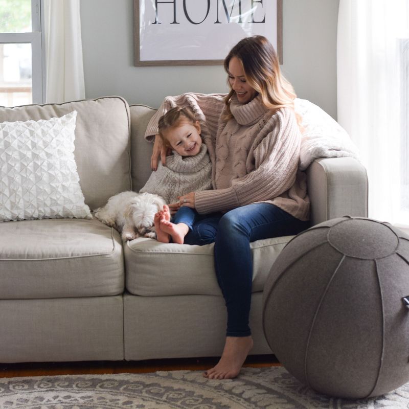 Vivora Luno MAX Classic Series Luxury Felt Sitting and Fitness Ball Chair with Handle, Clay