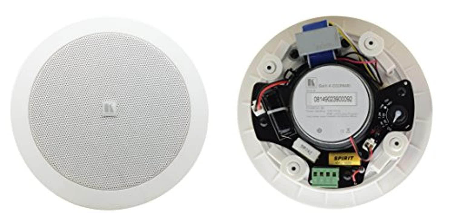 kramer galil 4-co 4-inch, 2-way open-back ceiling speakers