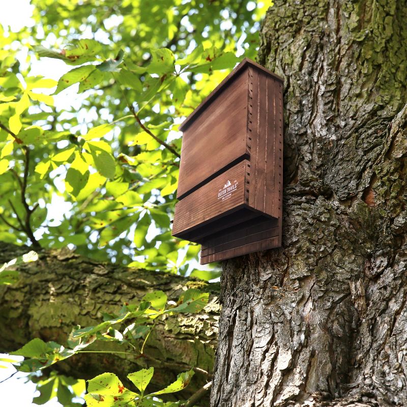 Outer Trails Bat House Outdoor Bat Habitat, Brown All Natural Cedar Wood, 2 Chamber