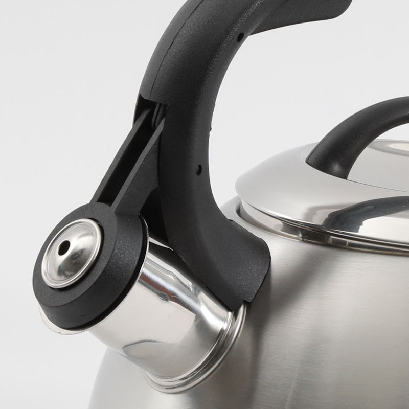 Mr. Coffee 2 Quart Stainless Steel Whistling Tea Kettle with Nylon Handle
