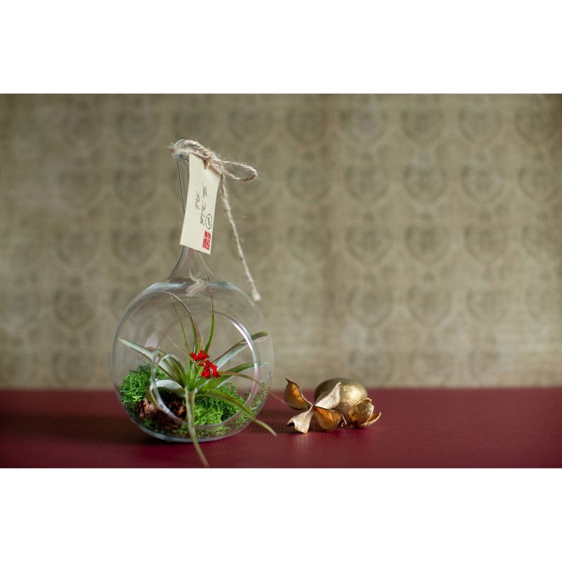 LiveTrends Letter to Santa