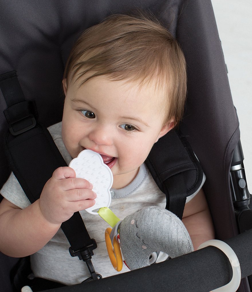 Skip Hop Rattle Moon Stroller Toy