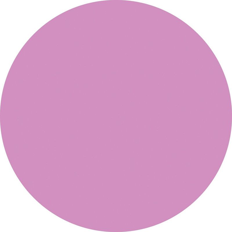 Wall Pops!  Dry Erase Board Circle Decals 13" 6ct - Purple