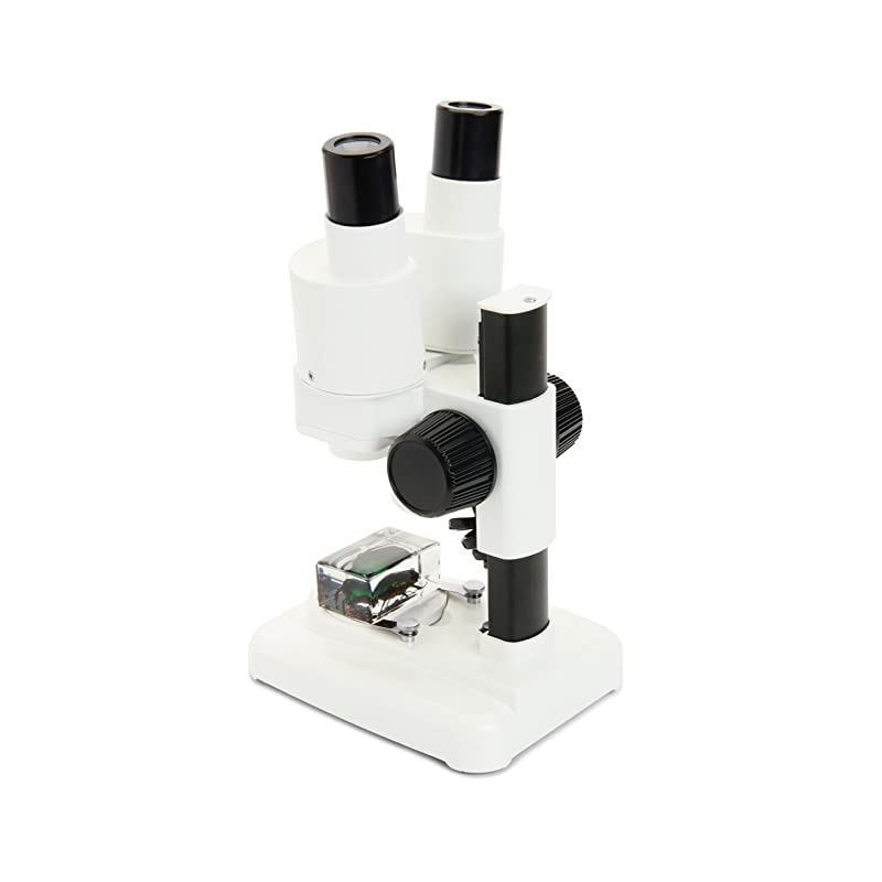 S20 Portable Stereo Microscope w/20x Power, 2 Insect Specimens in Clear Plastic, 2 AA Batteries, Upper Illuminator