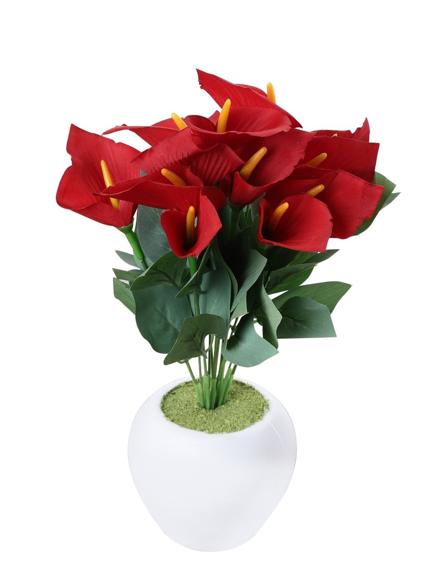 Foliyaj Multicolor Plastic Artificial Anthurium