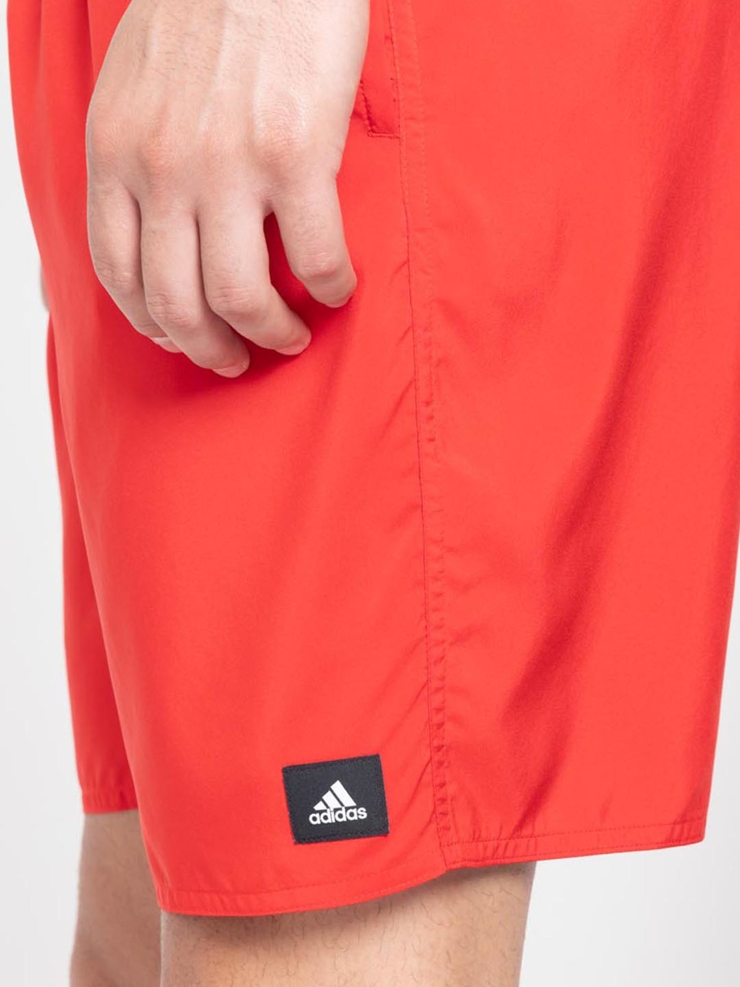 Speedo Watermelon Regular Fit Printed Swim Shorts