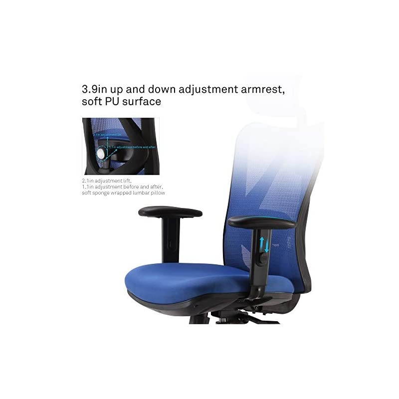 Ergonomic Office Chair, Computer Desk Chair, Adjustable Headrest, Backrest, and Armrests, Lower-Back Support, Mesh (Blue)