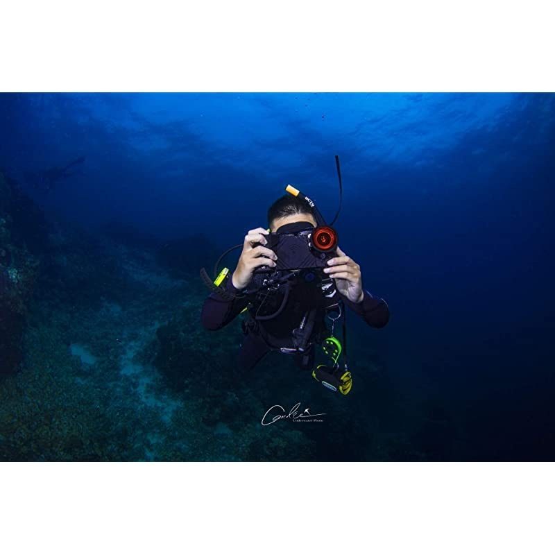 Button Free Underwater Real Touchscreen for iPhone Diving housing case 80m262ft IP80 Diving Case for Diving housing Surfing compatiable for iPhone 678 PlusXXSXS Max Professional