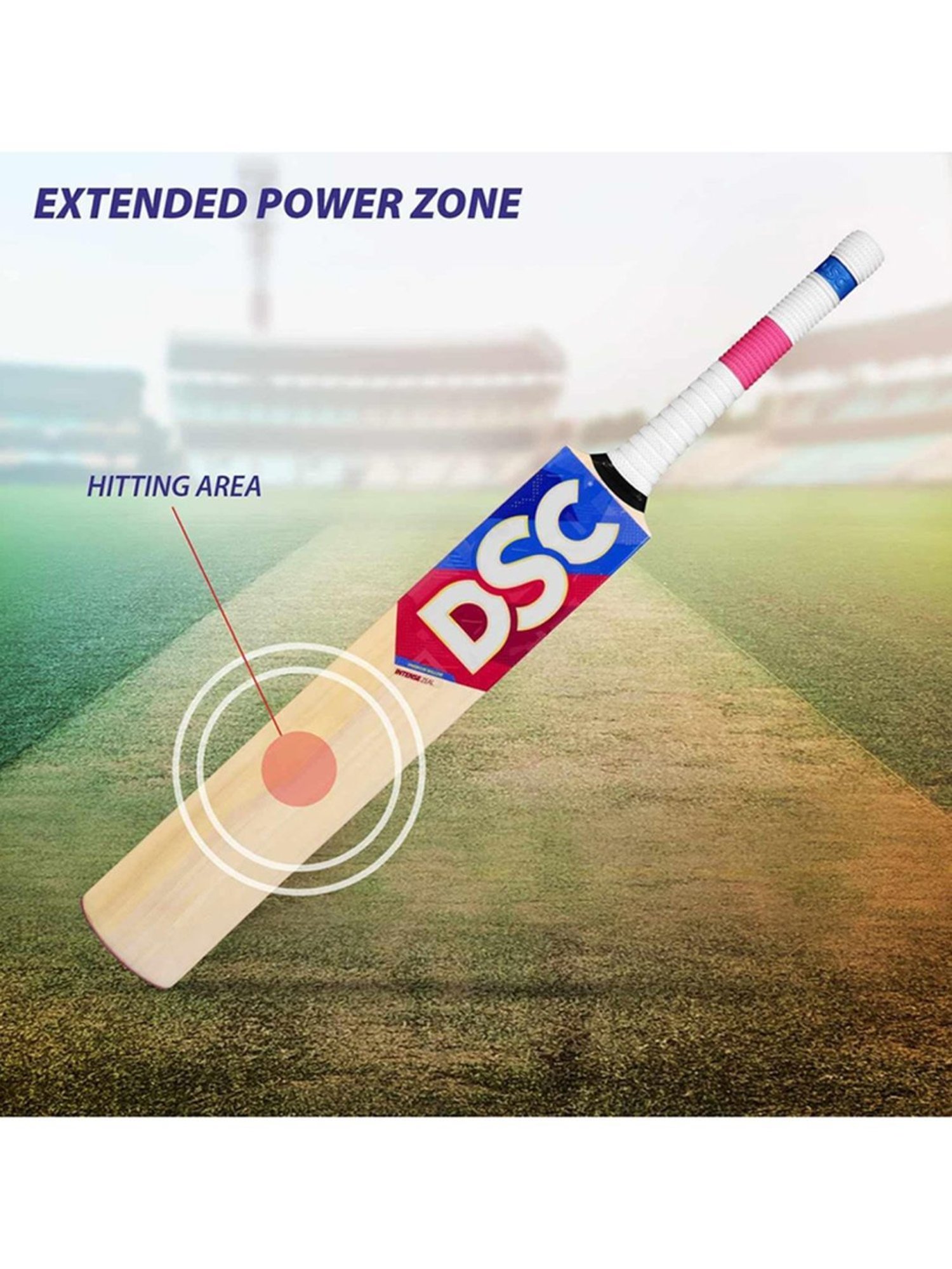 DSC intense Zeal Kashmir Willow Cricket Bat Size - Harrow