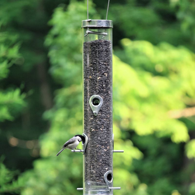 Droll Yankees Classic Sunflower Mixed Seed Feeder - Silver