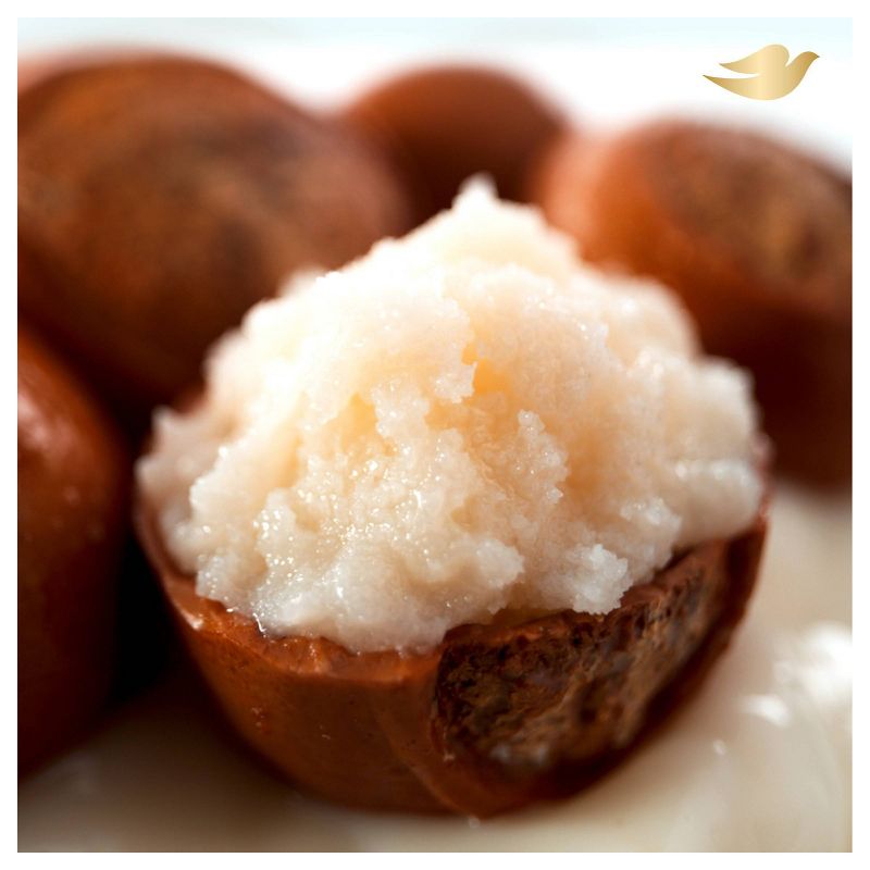 Dove Purely Pampering Shea Butter with Warm Vanilla Body Wash - 34 fl oz