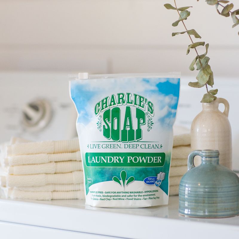 Charlie's Soap Powder Laundry Detergent - 42.24oz