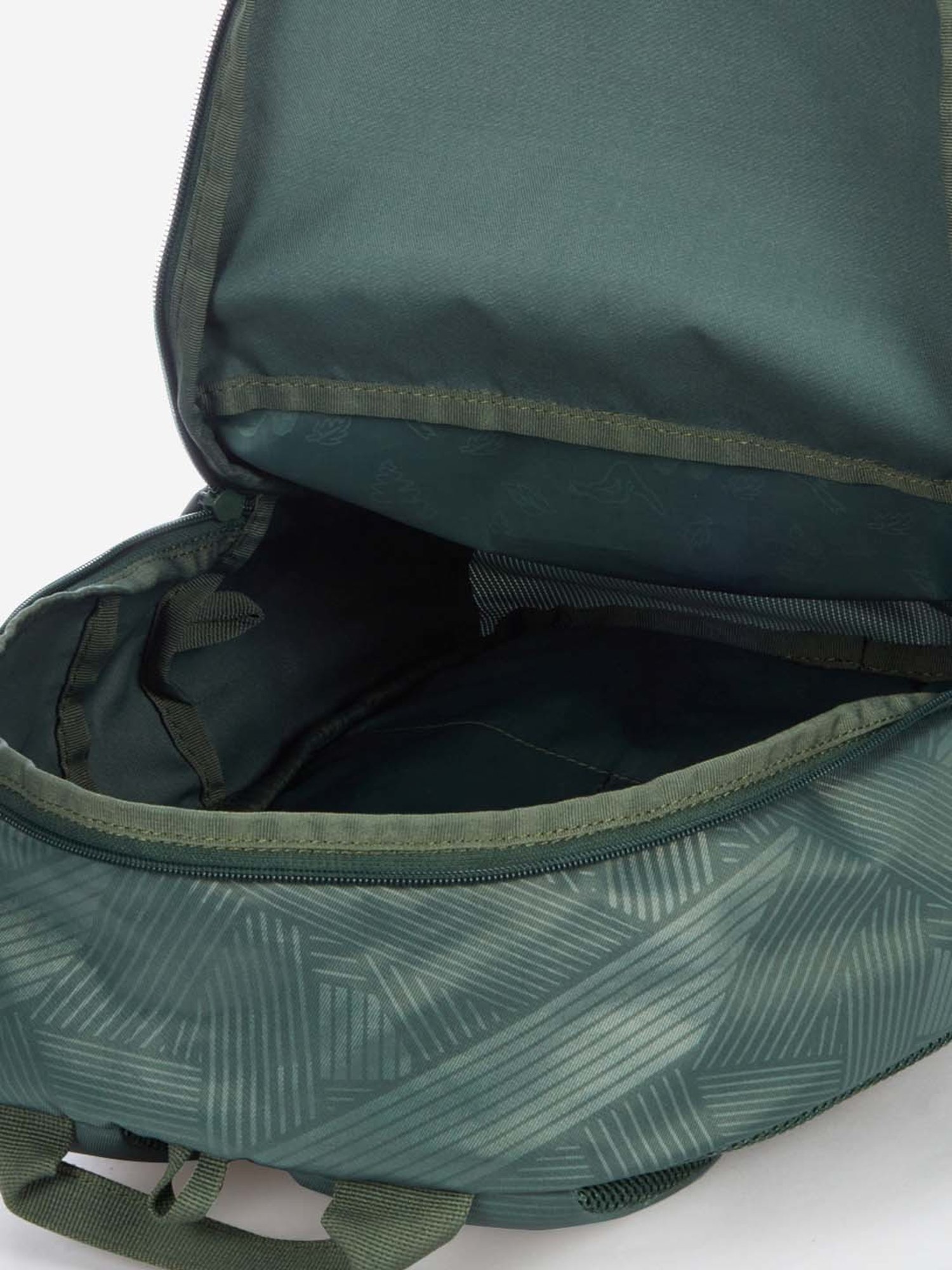 Wiki 18.5 Ltrs Green Medium Backpack